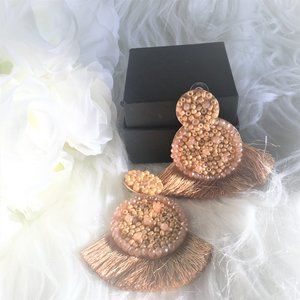 NWT Gorgeous DROP CRYSTAL AND FRINGE Dangle Women